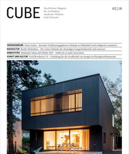 Cube Magazin - Delphi Lux - 02.2018